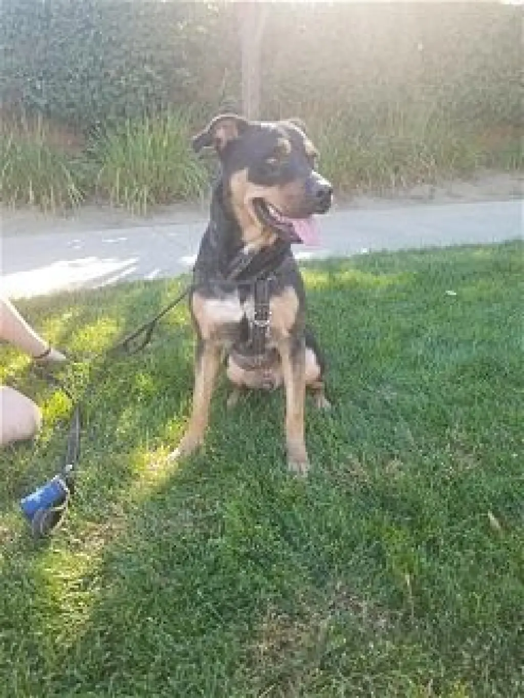Tyson