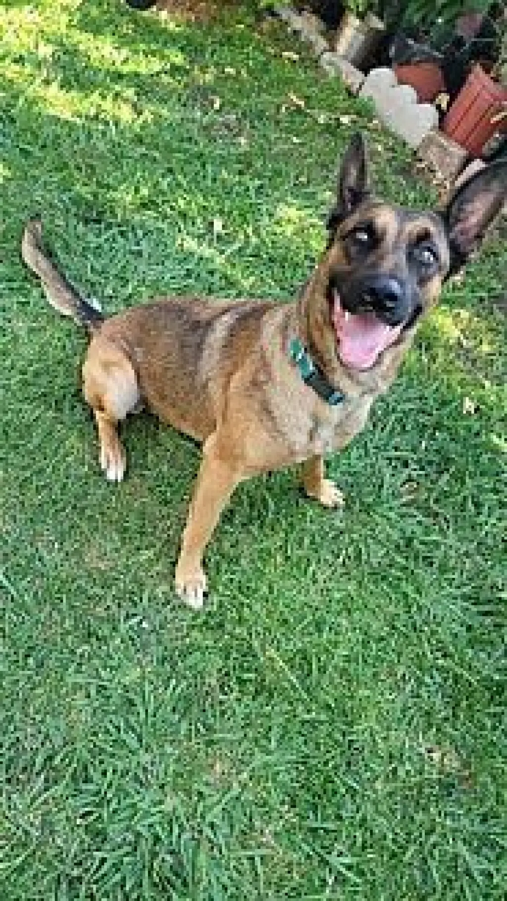 Sophia
