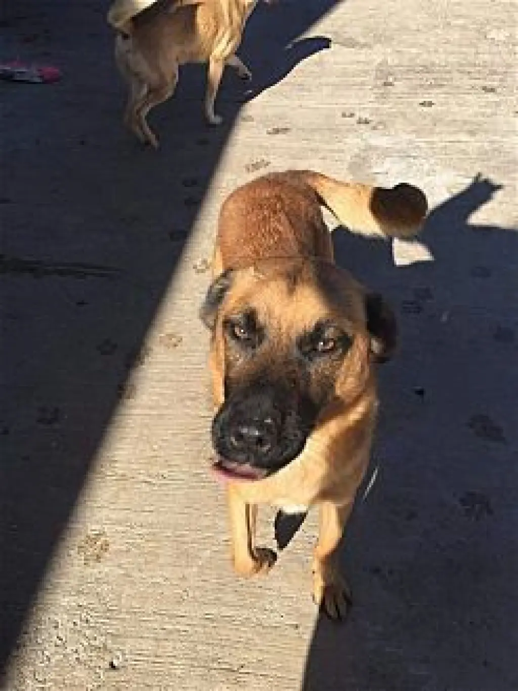 Durango