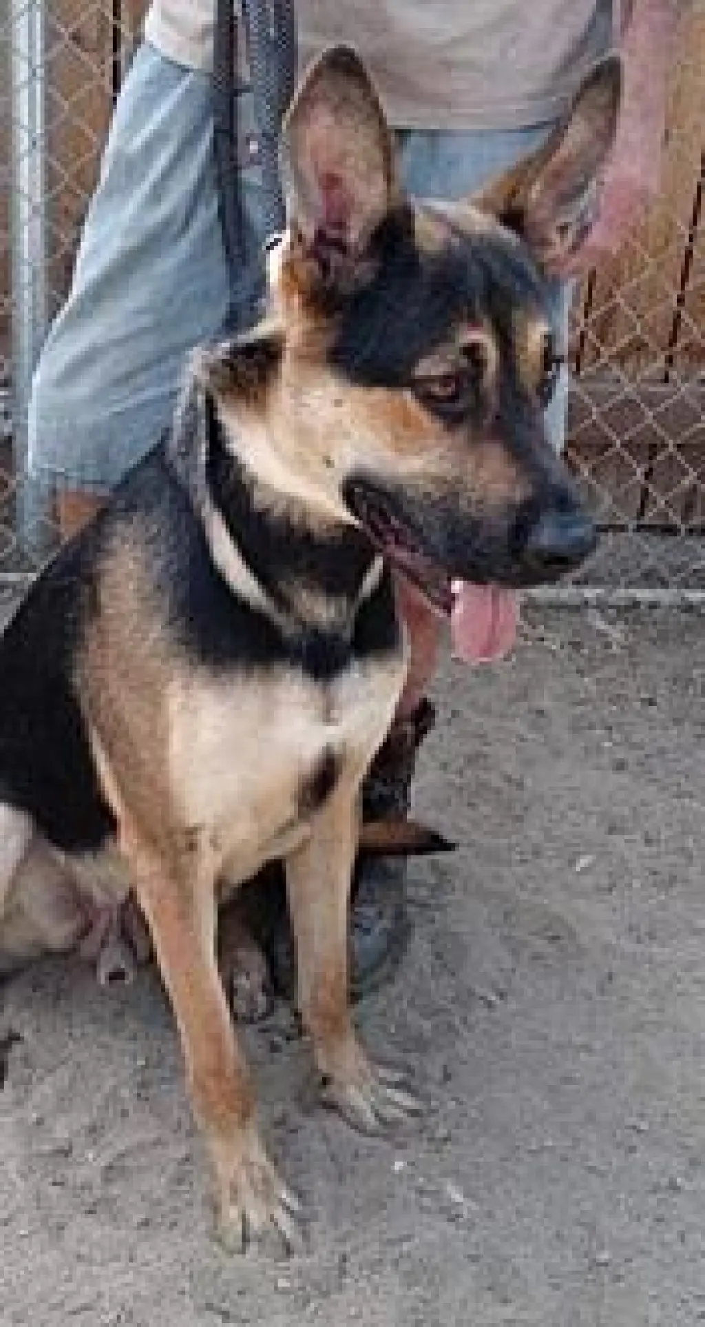 Zeke