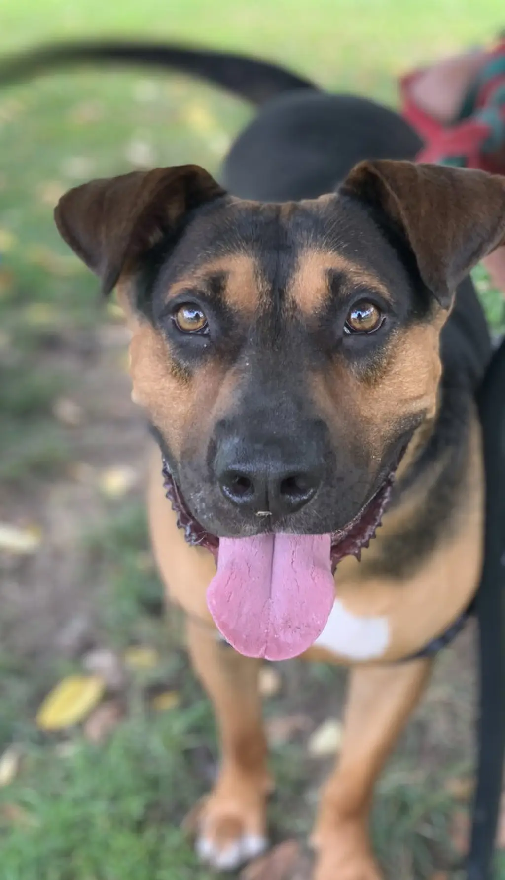 Duke