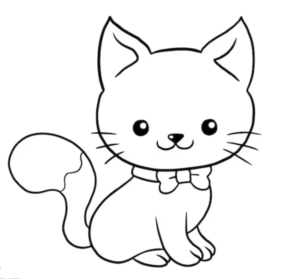 zzCat Application (General)