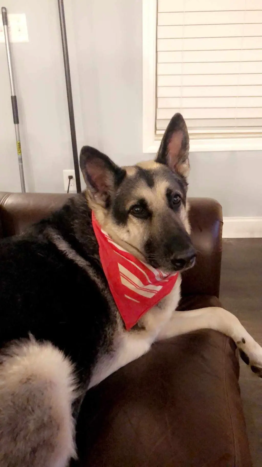 Ranger