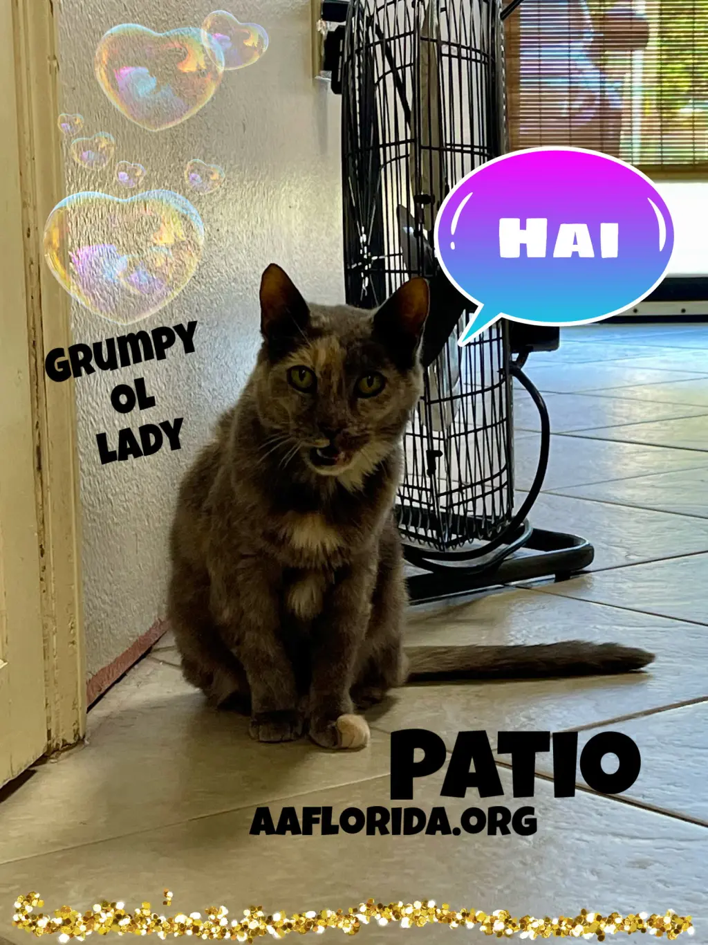 Patio *Cyd