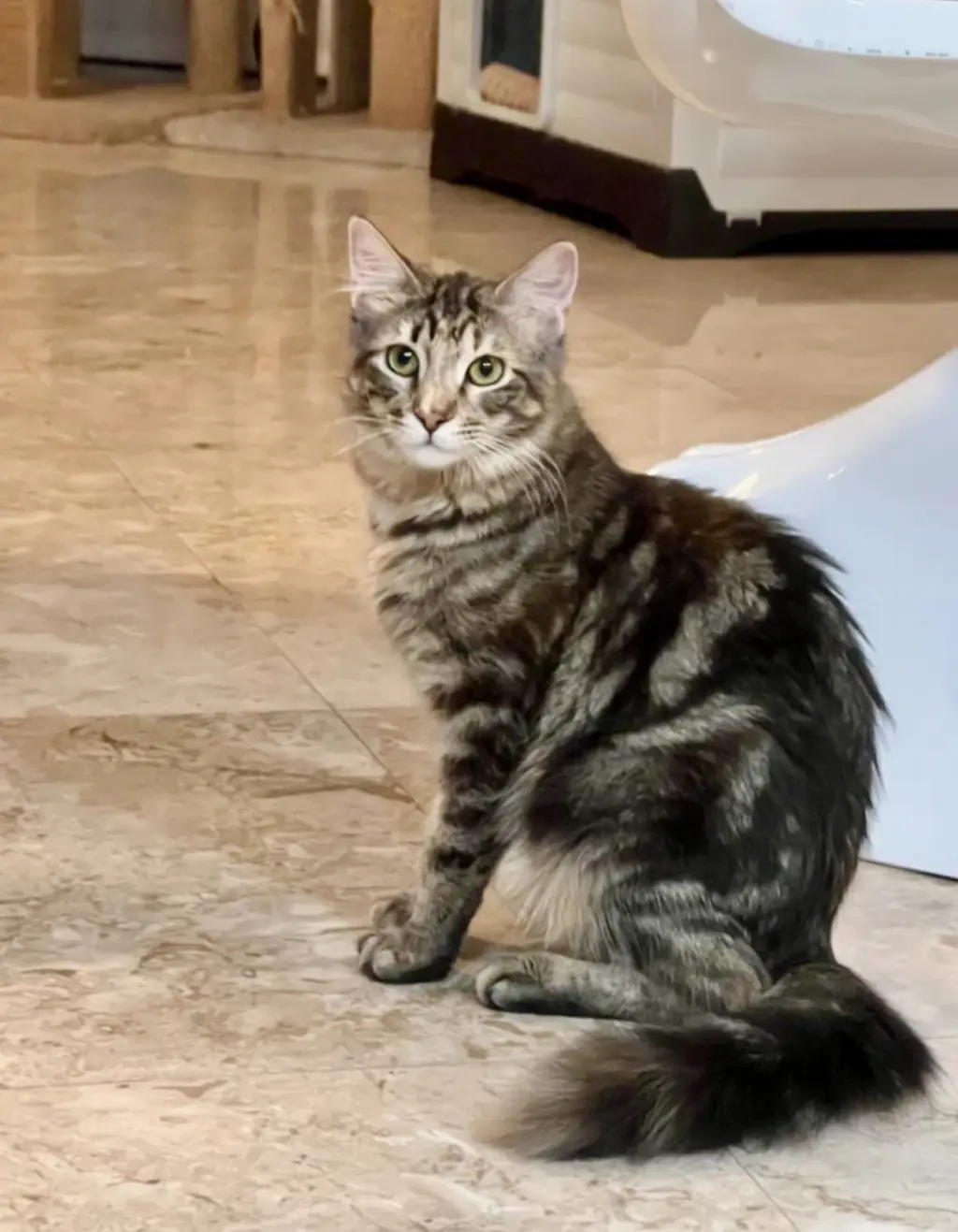 LUNA