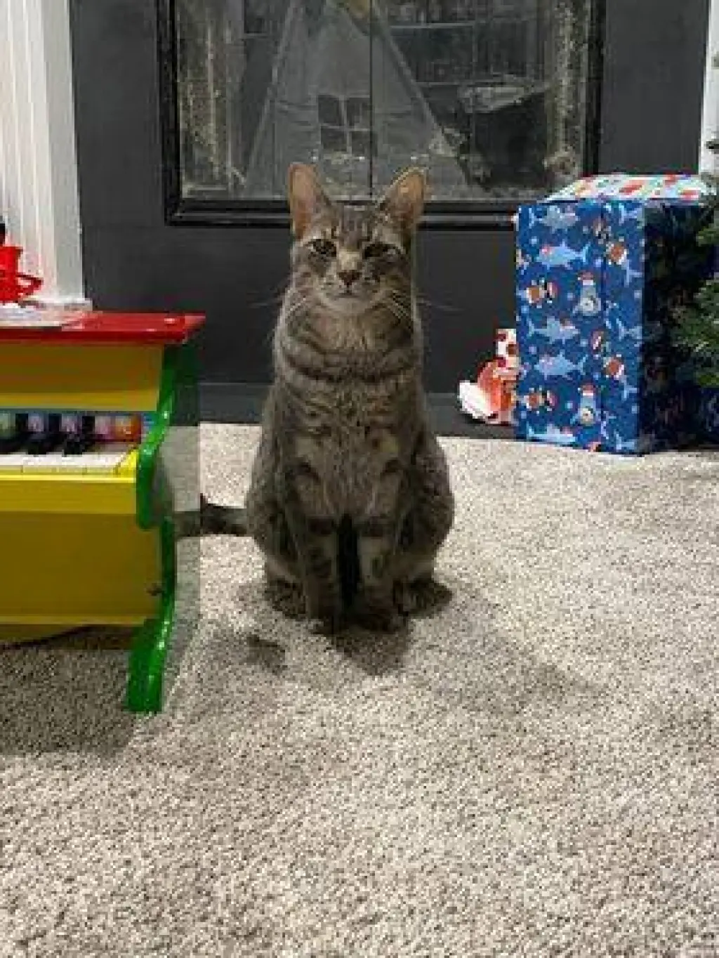 Tyson