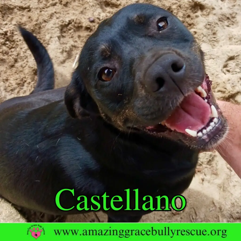 Castellano