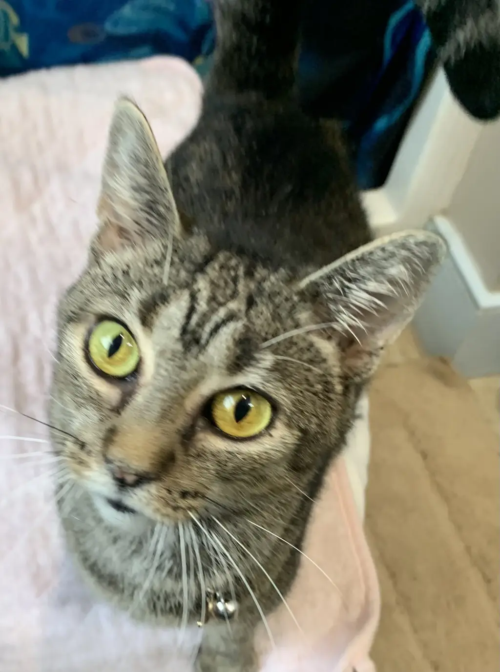 Marbles (sweet girl)