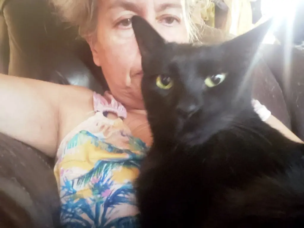 Milo #lapcat
