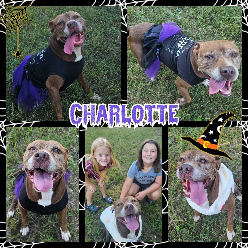 Charlotte