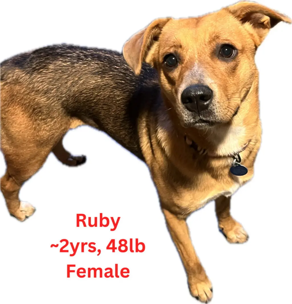 Ruby