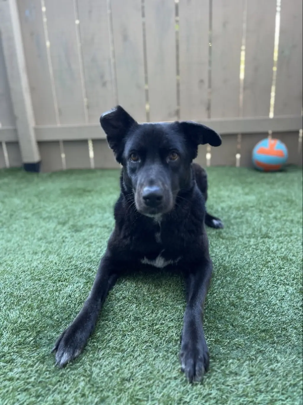 Winnie