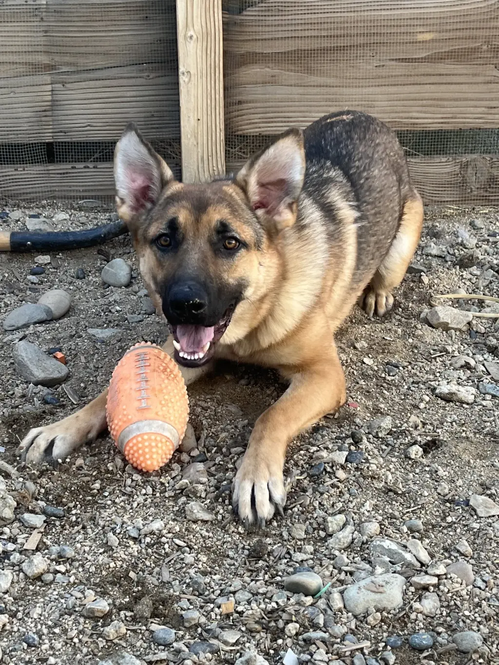Cheyenne
