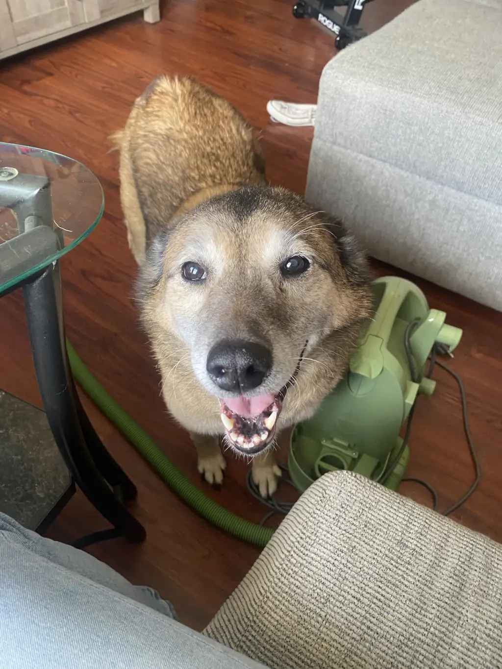 TANK (BONDED w/RUSTY)(COURTESY POST)