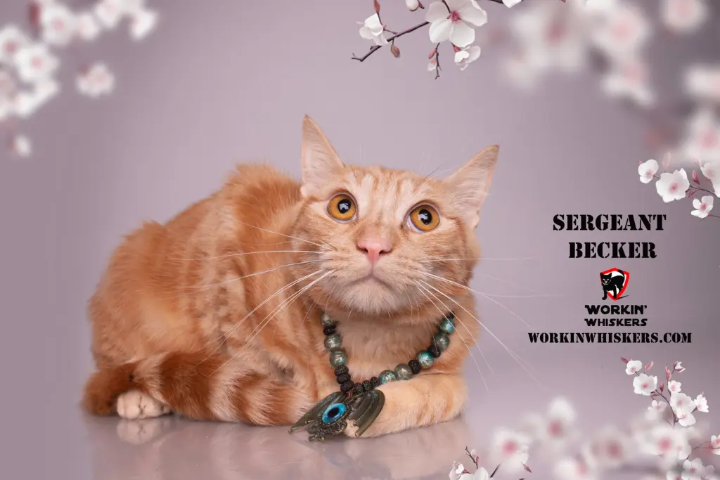 SERGEANT BECKER