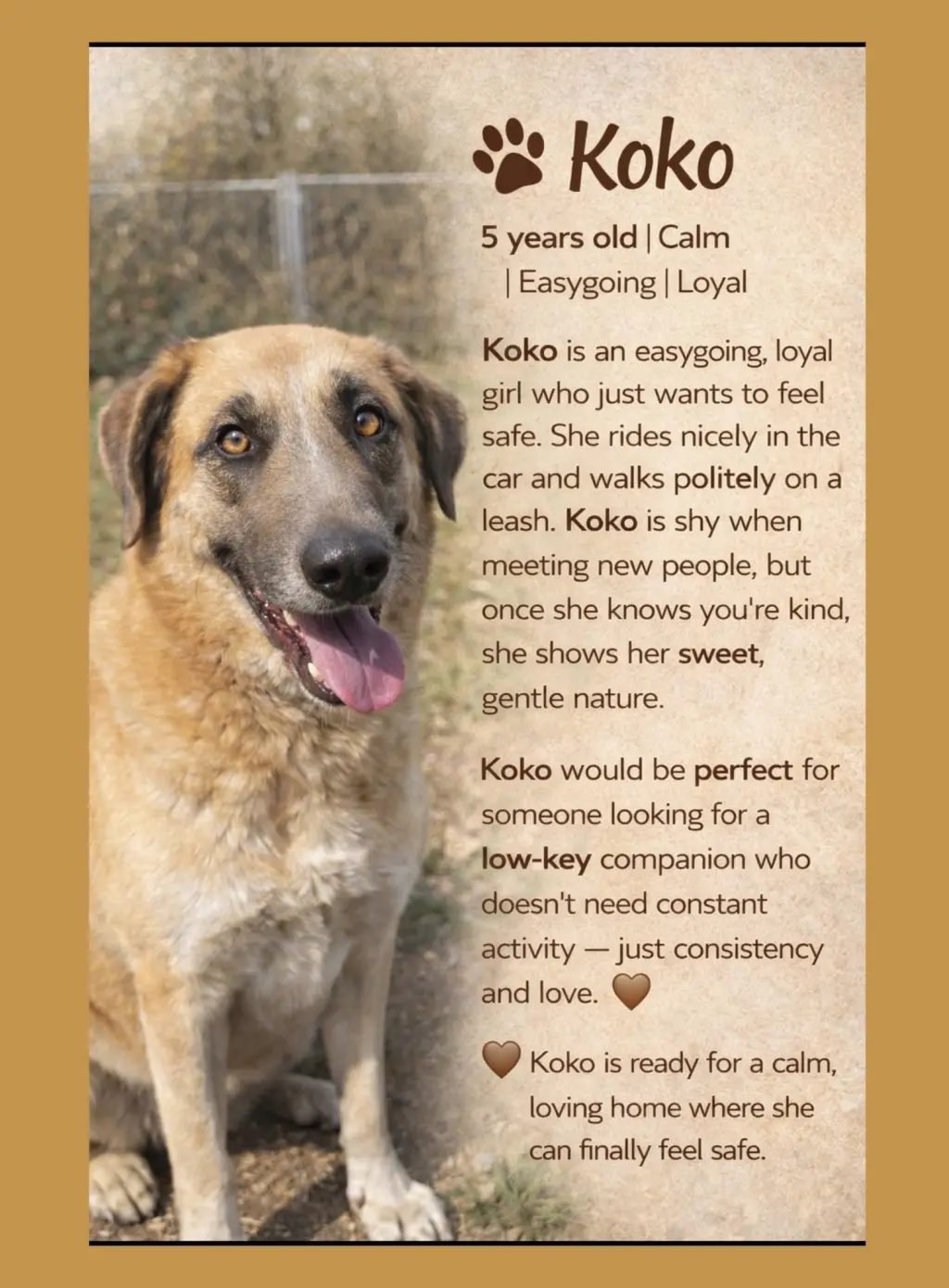 KoKo
