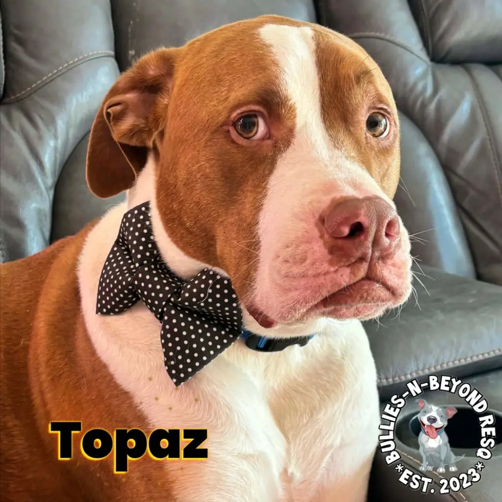 Topaz