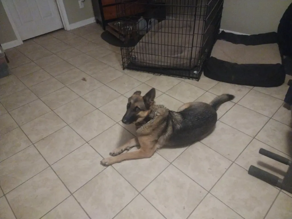 LILLY 2 (COURTESY POST)