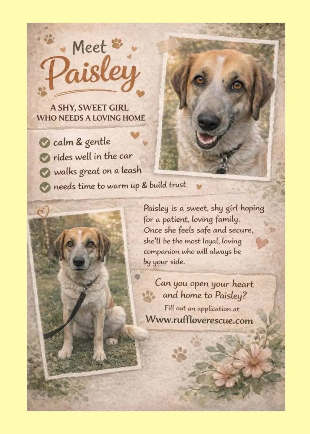 Paisley