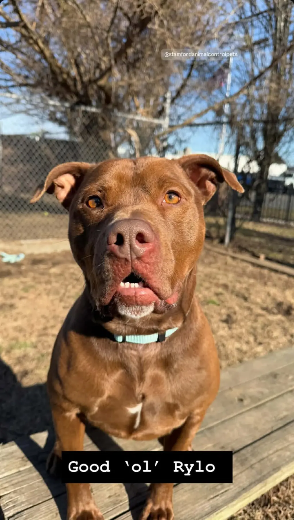 Rylo