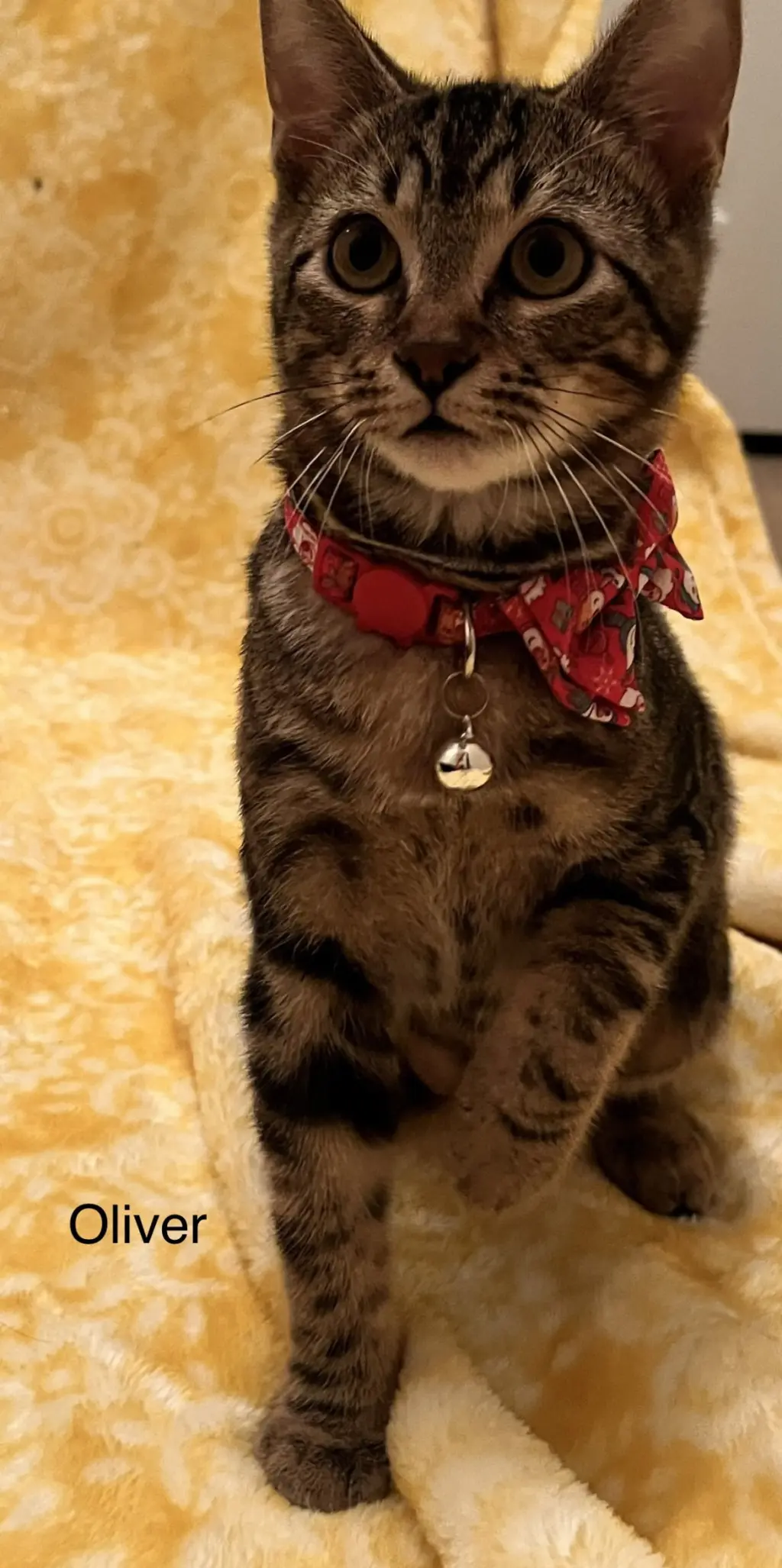 Jax