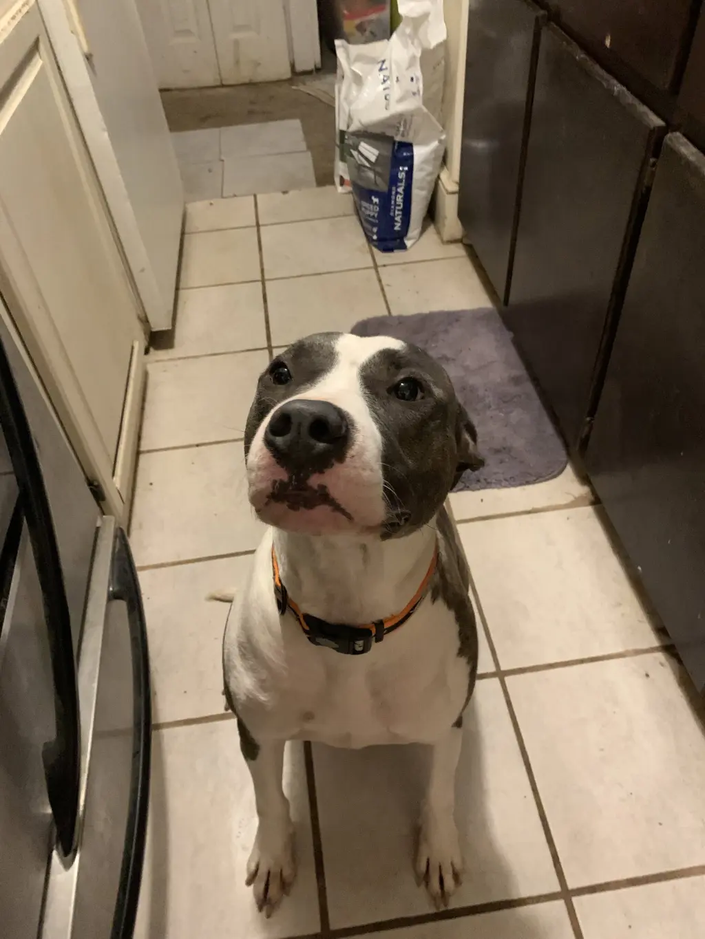 Buster