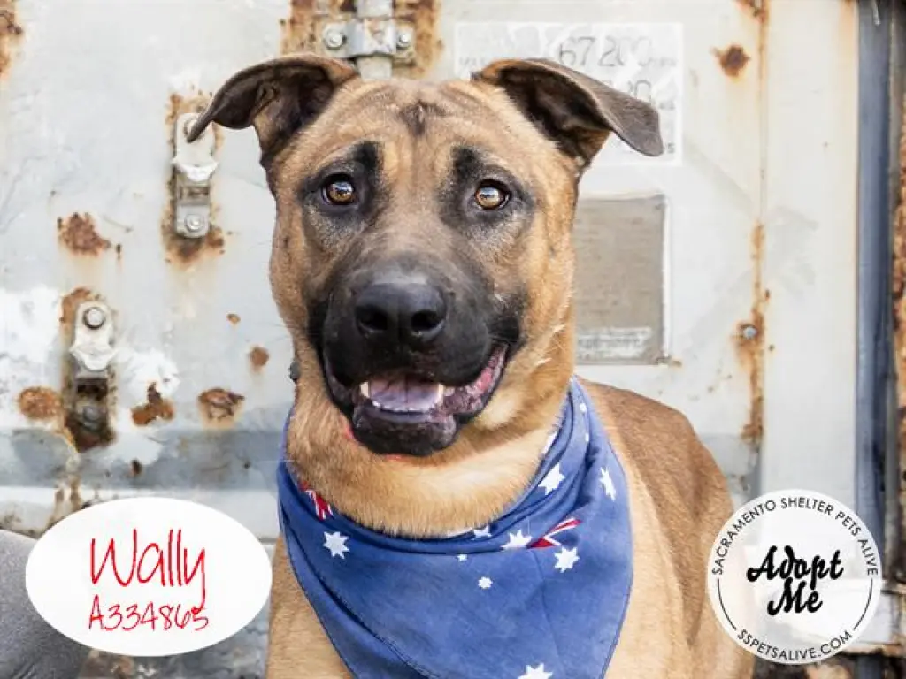WALLY