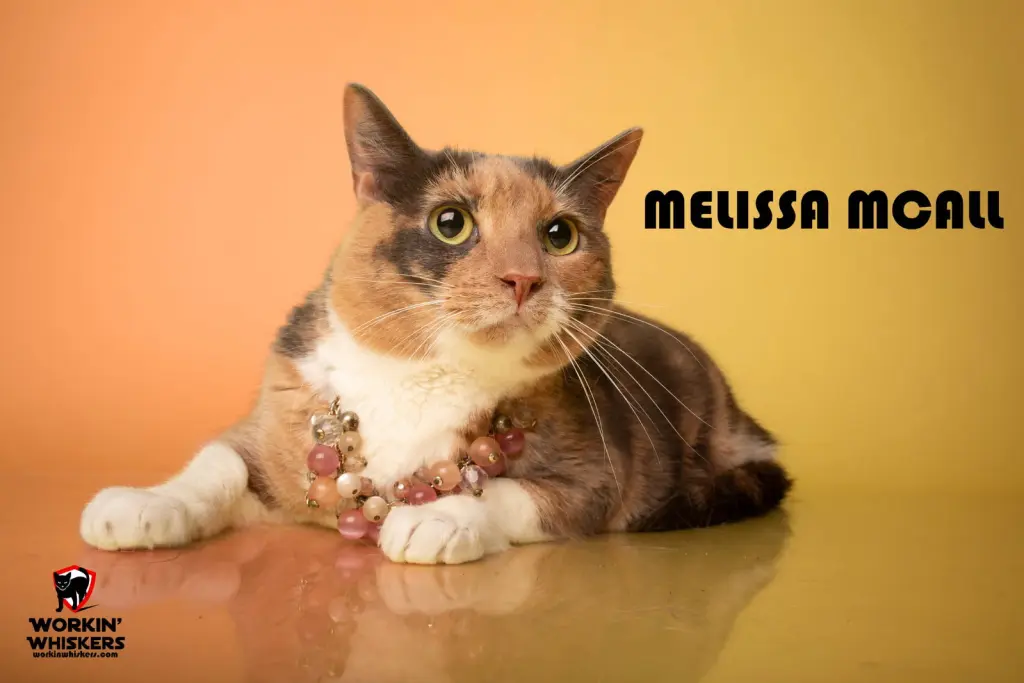 MELISSA McCALL