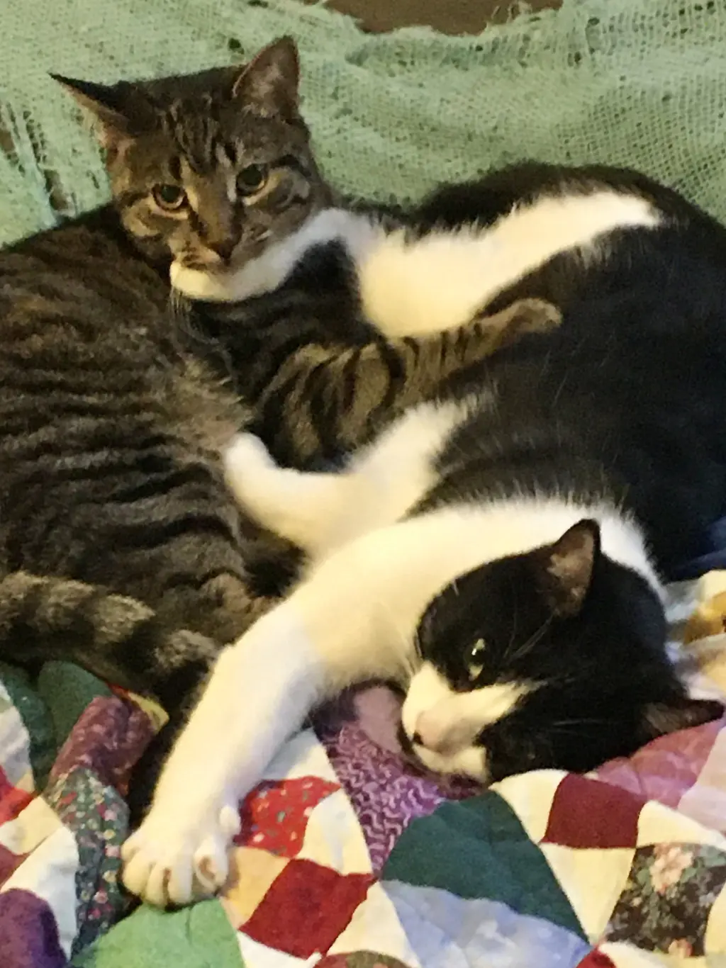 Shade