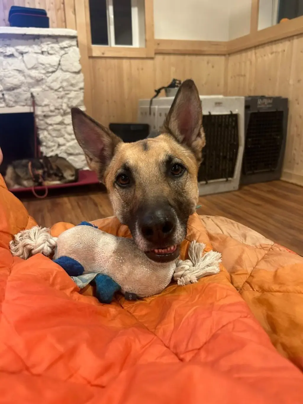 Gustaf
