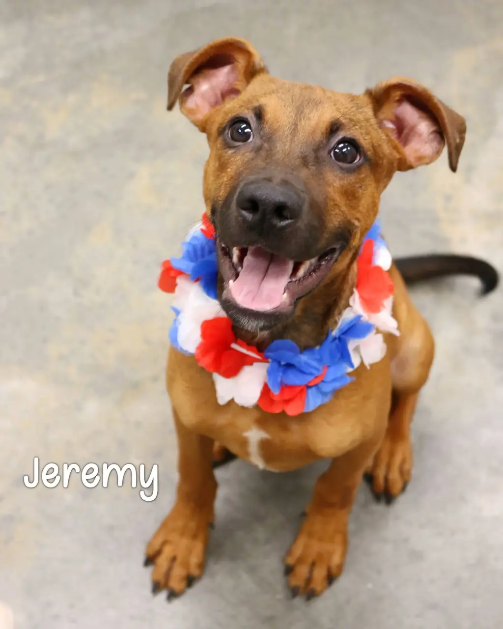 JEREMY