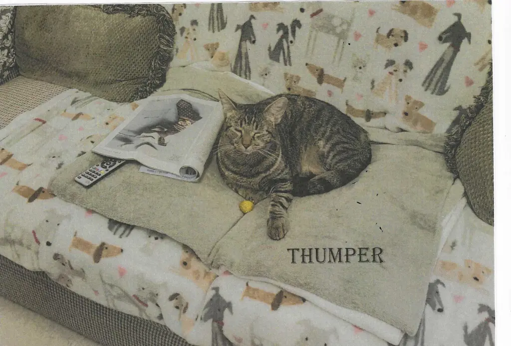 Thumper