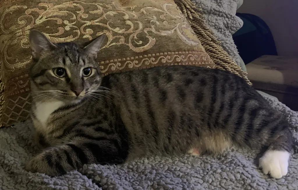 Axle