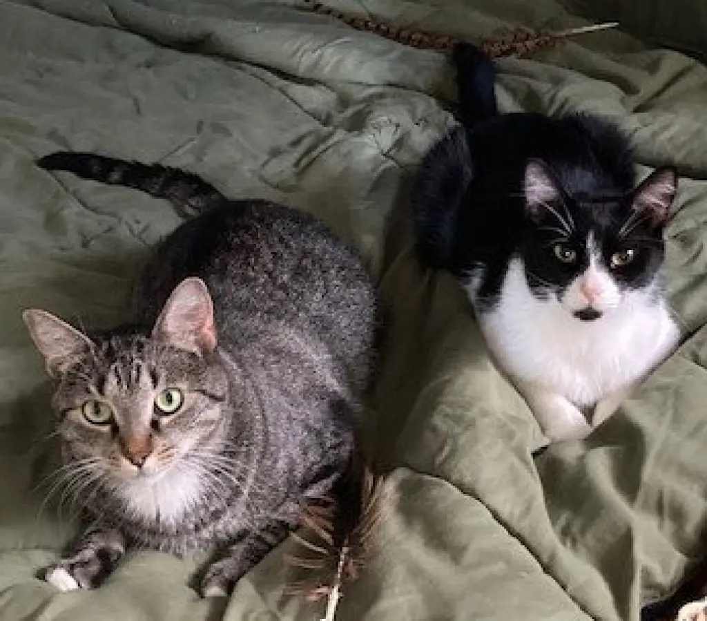 Ezekiel (Zeeke) and Tigger