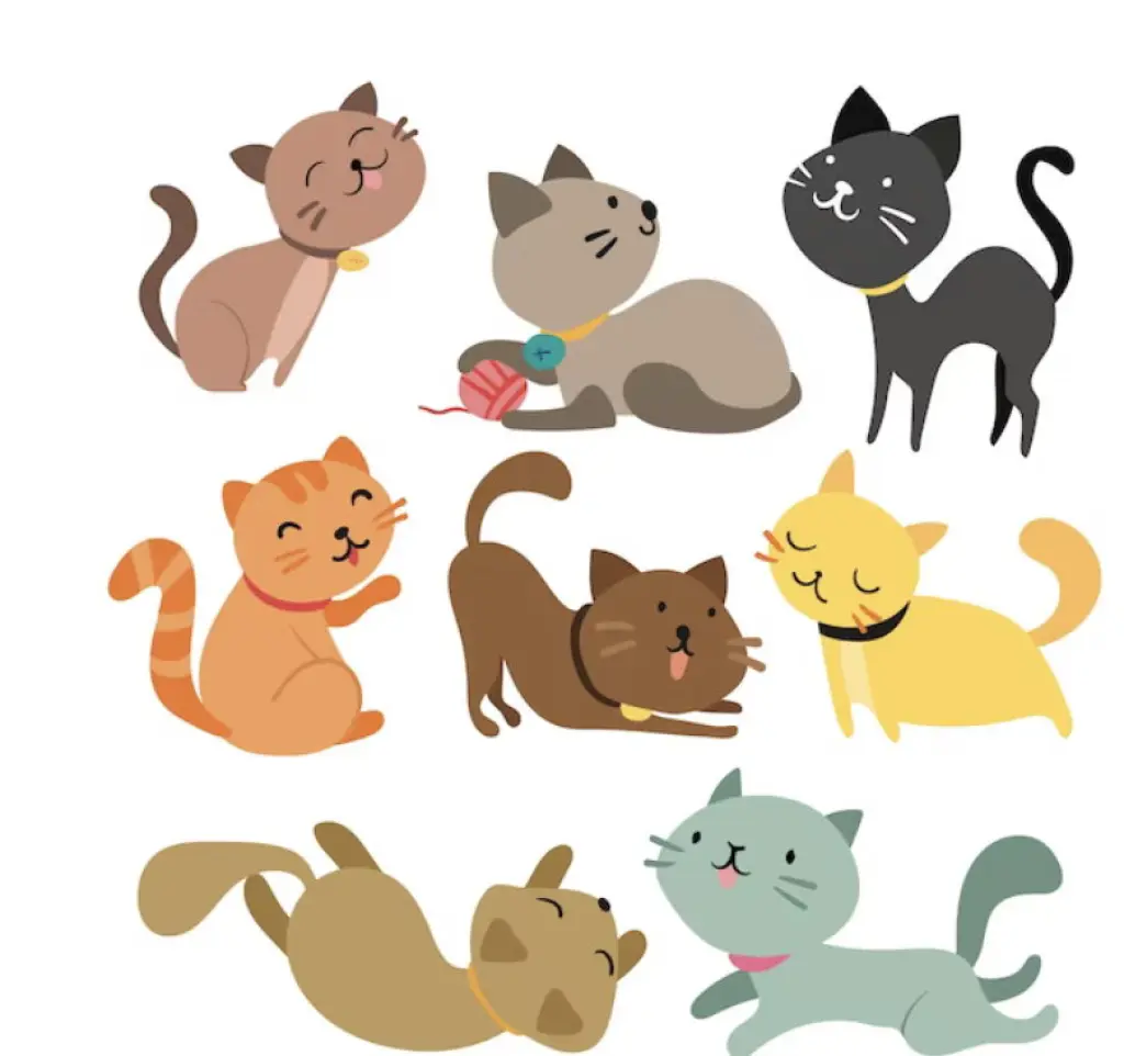A Cat (generic cat selection)