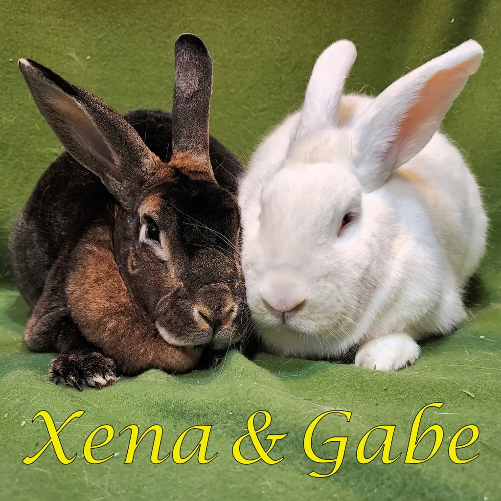 Xena (bonded to Gabe)