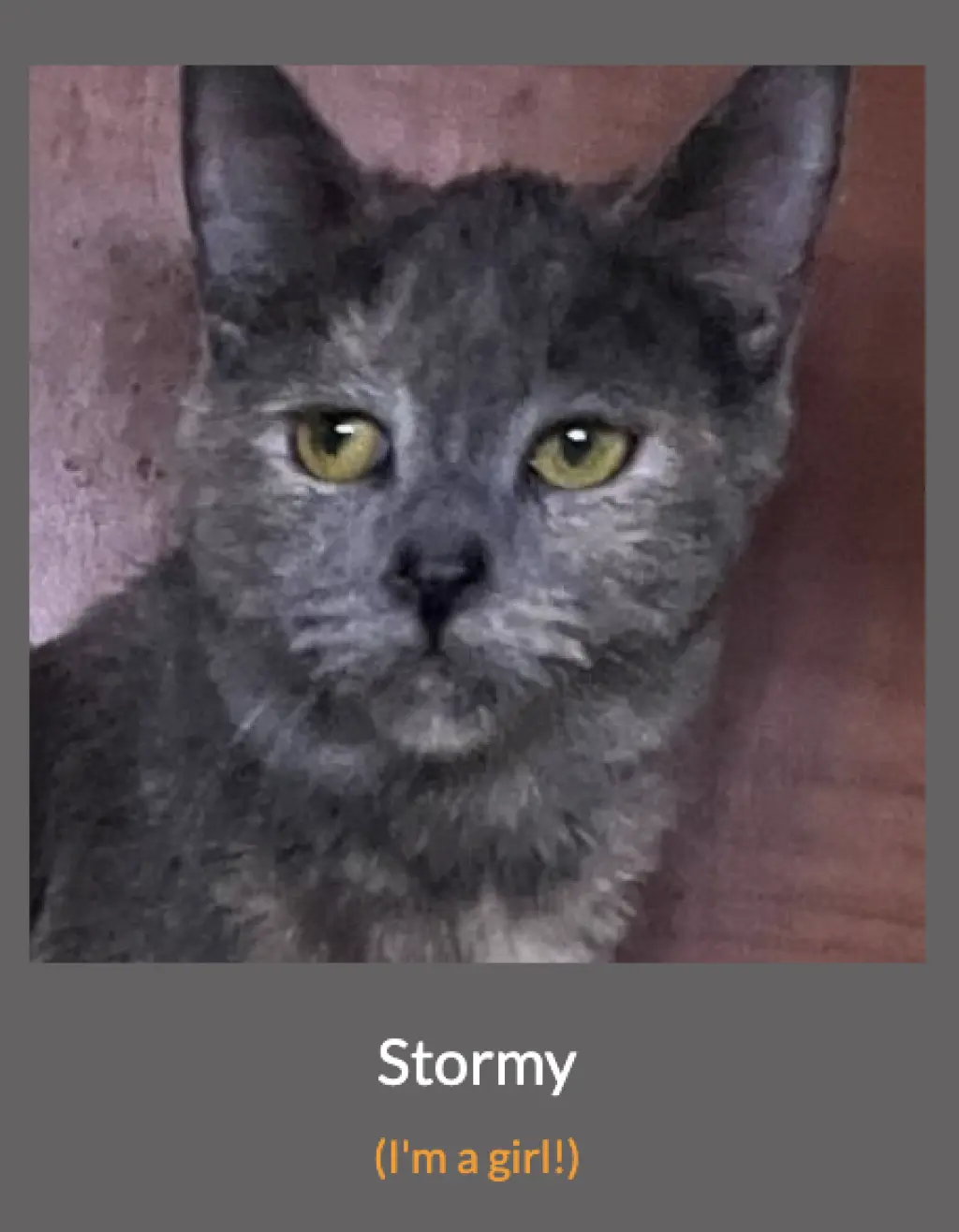 Stormy