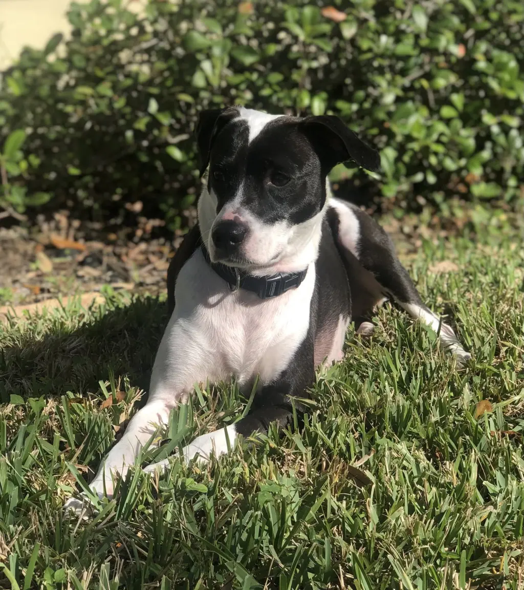 Khloe