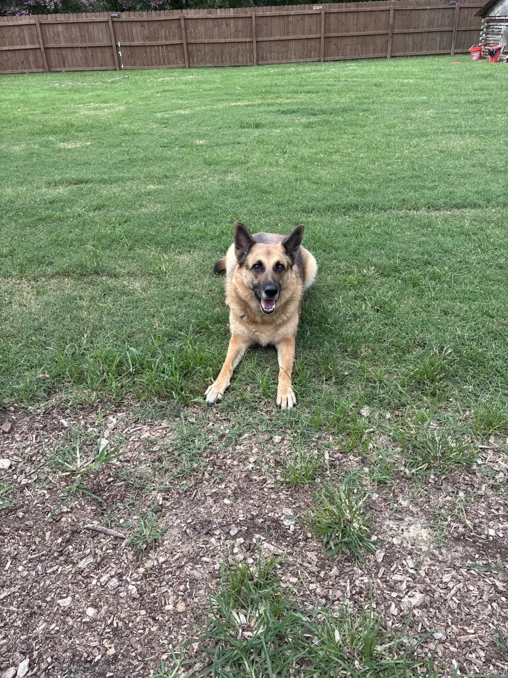 Sandy - COMING SOON!