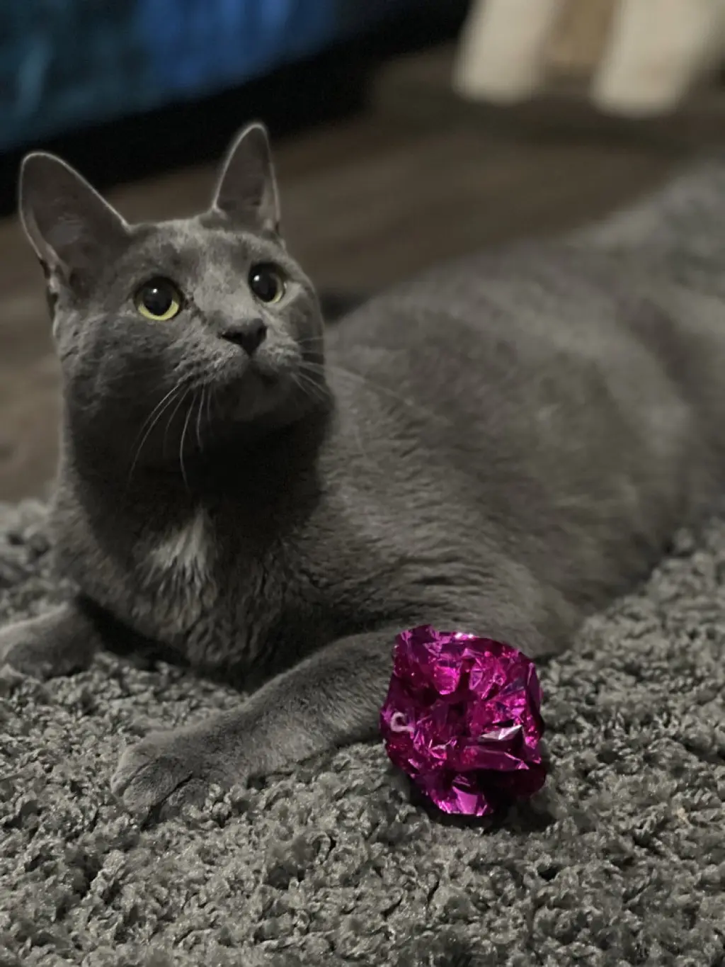 Zuul Silver