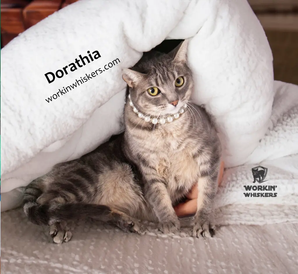 DORATHIA