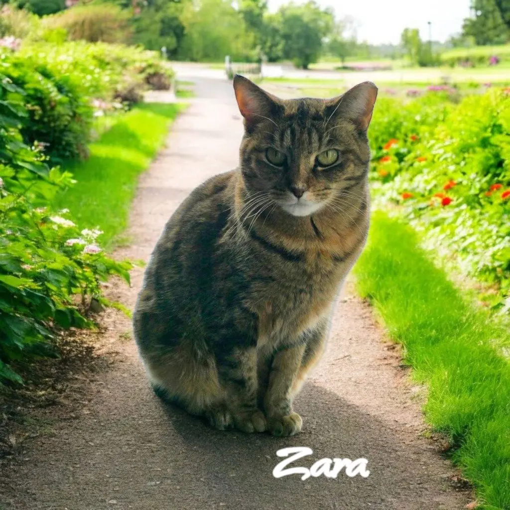 Zara