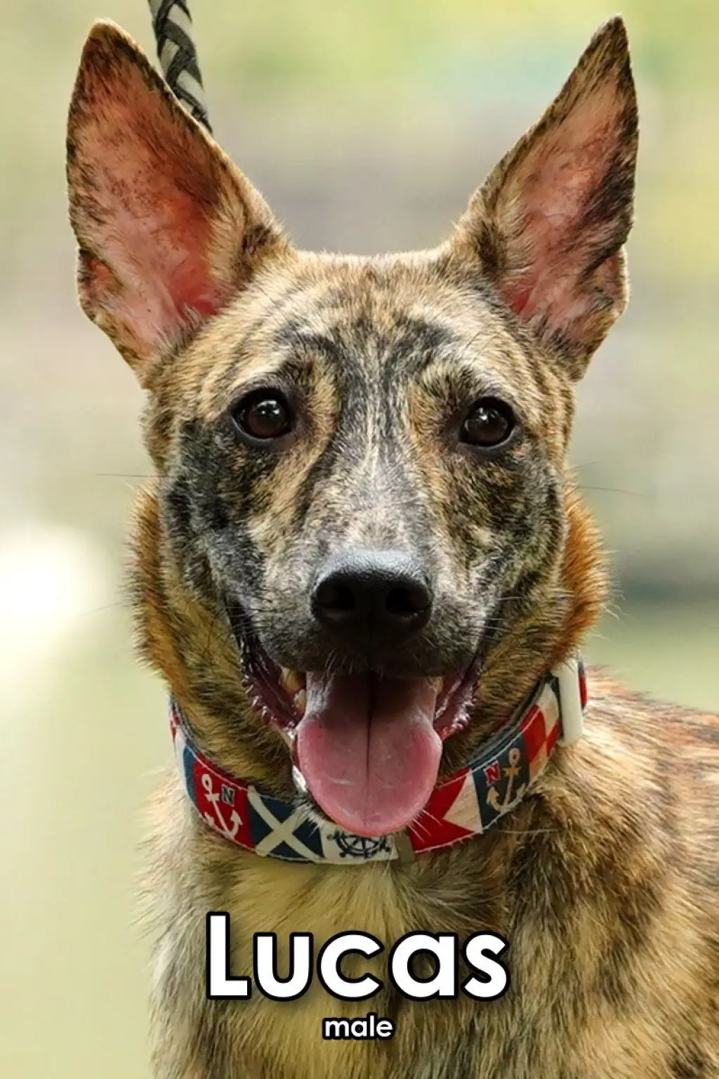Lucas from Taiwan