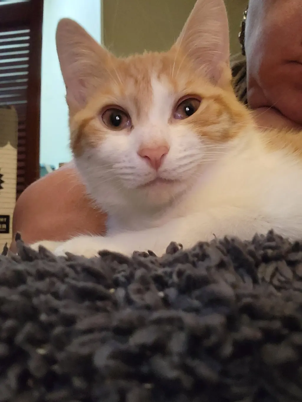 Steve