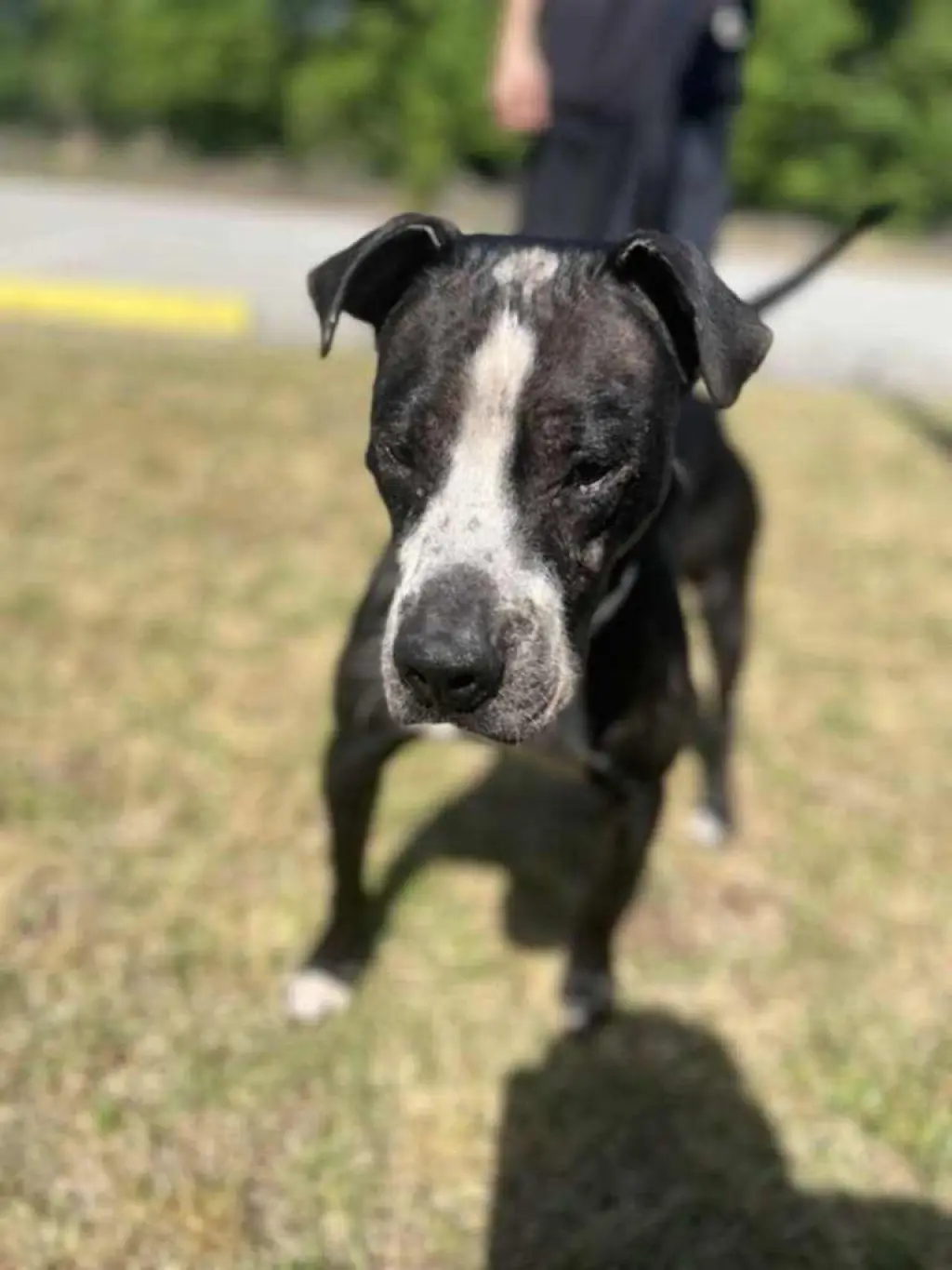 Odin