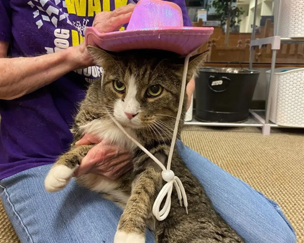 COWBOY