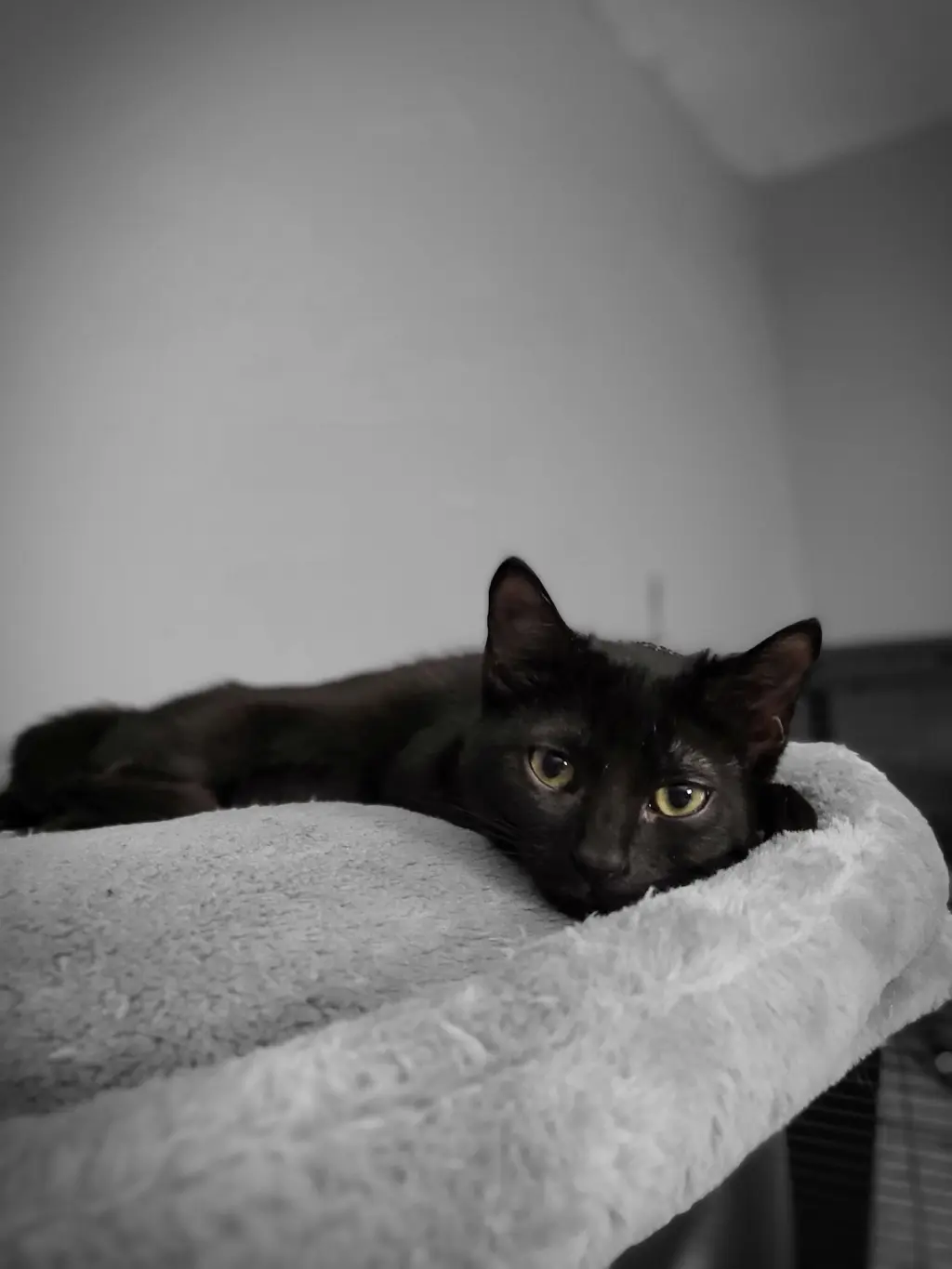 Indiana