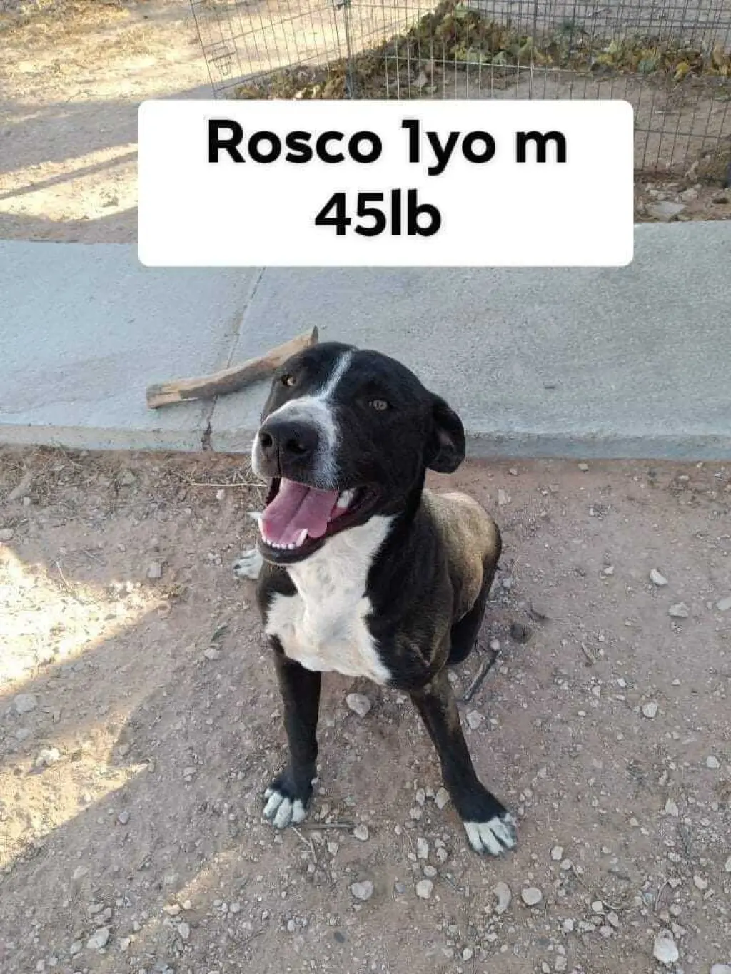 Rosco