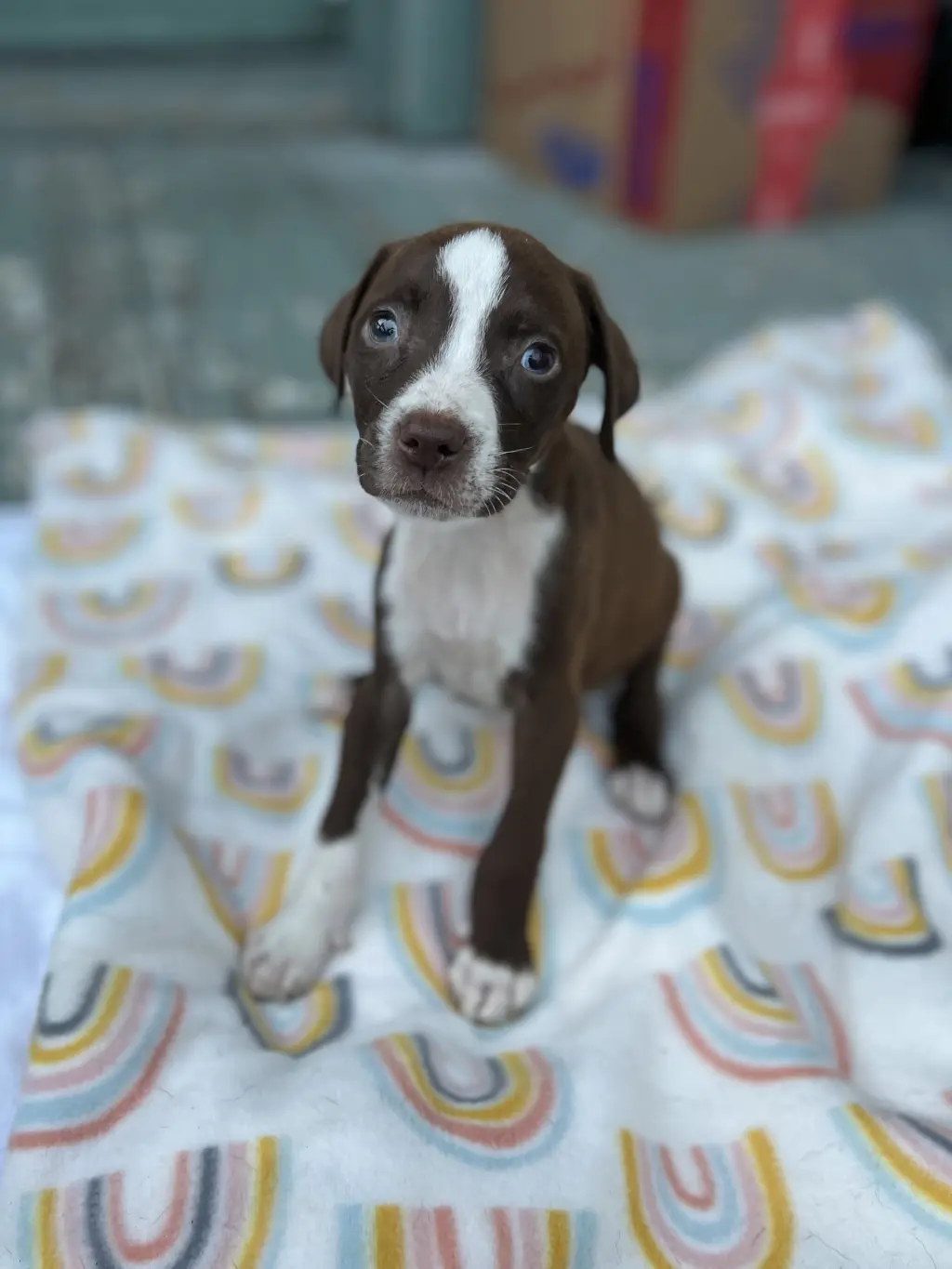 Winnie
