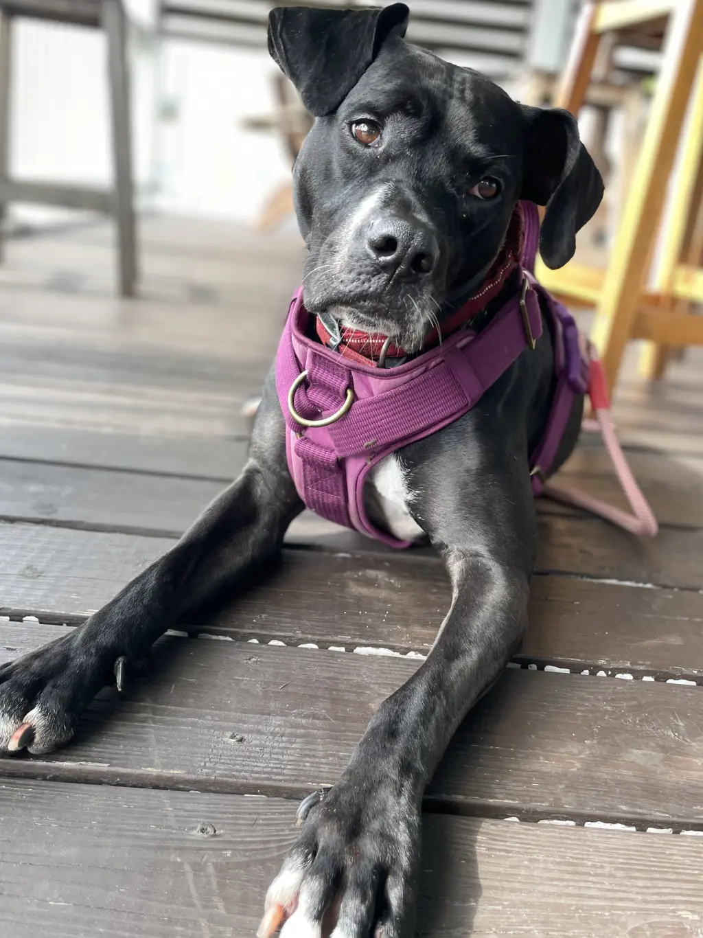 Rosie
